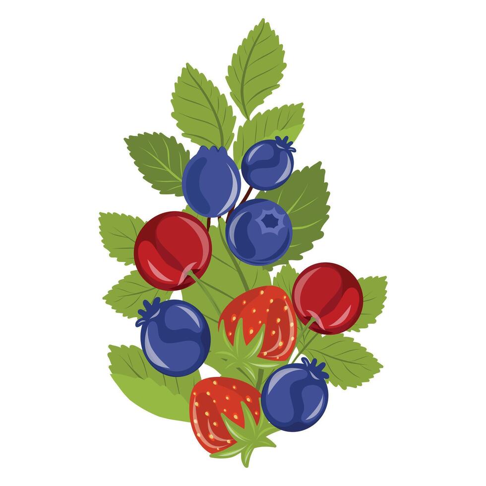 Mixed Berry Branch , Juneberry and Strawberry Illustration, Wild Fruit Botanical vector