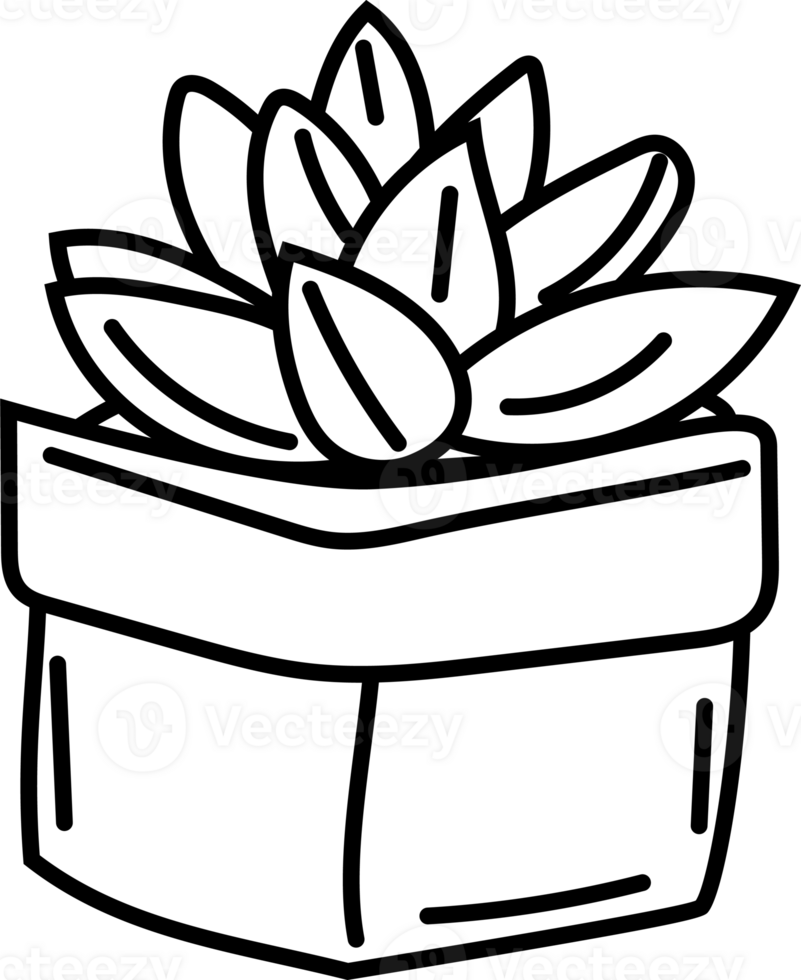 Square Succulent Pot Outline png