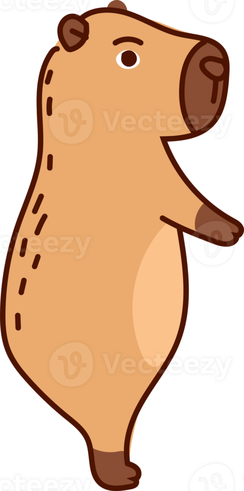 Capybara Looking Up, Friendly Animal Cartoon Illustration png