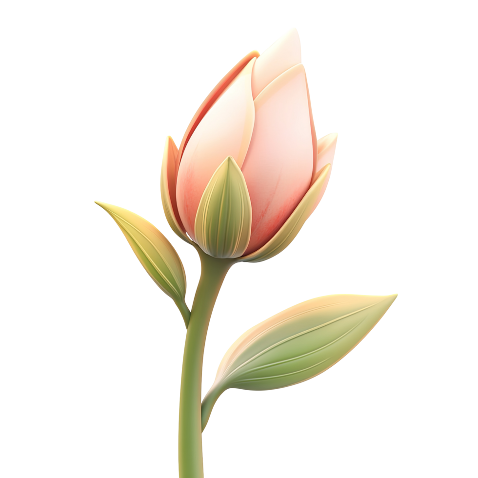 Delicate, pastel-colored flower bud isolated on a transparent background. png