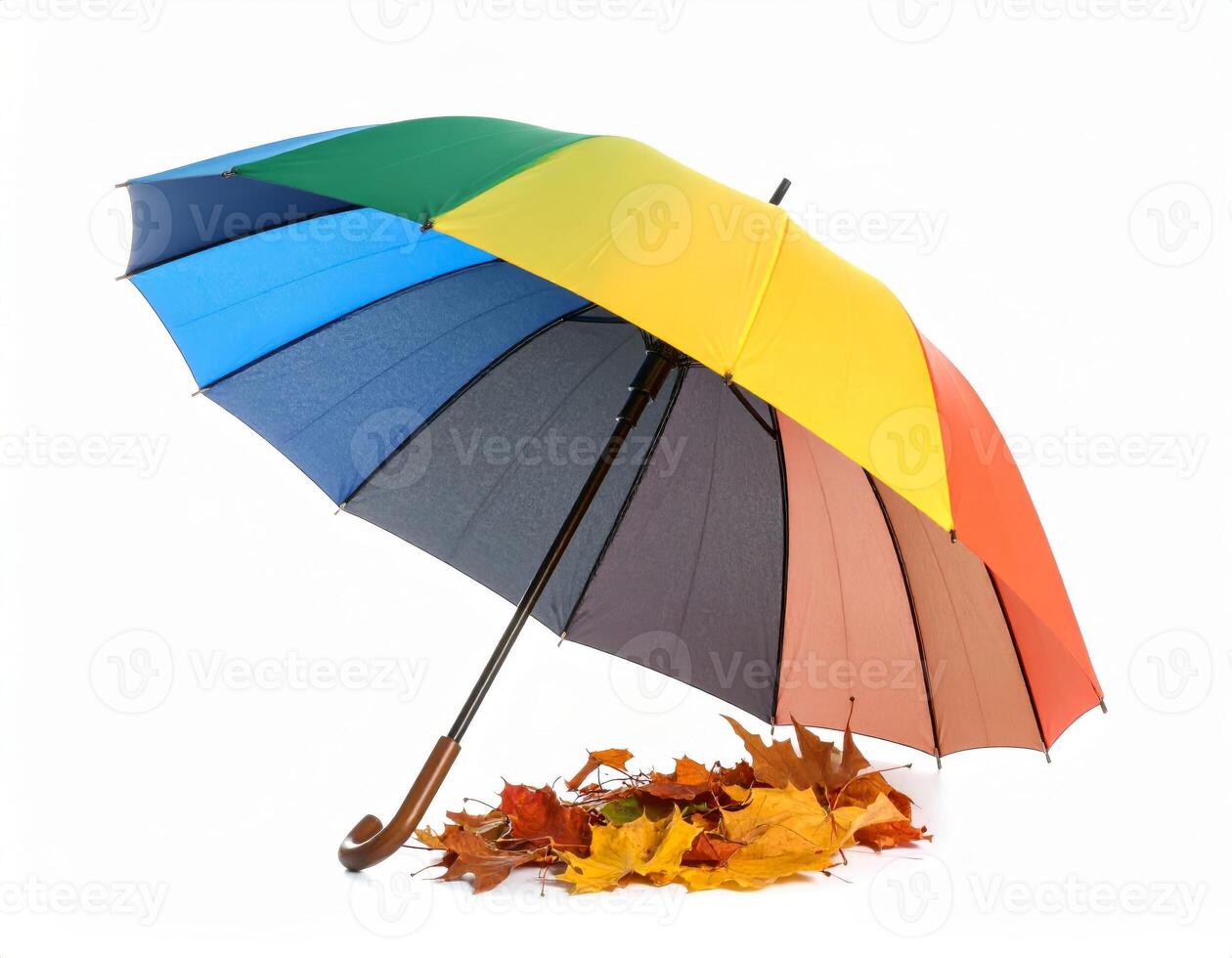 Vibrant umbrella surrounded by fall foliage against a plain white backdrop photo