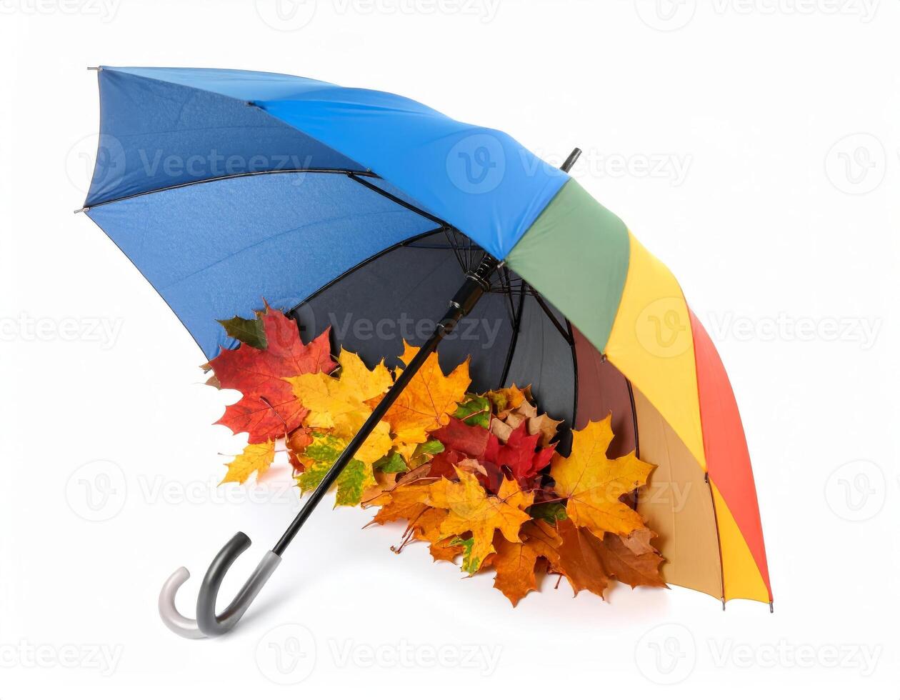 Multicolored umbrella surrounded by fall leaves on a plain white backdrop photo