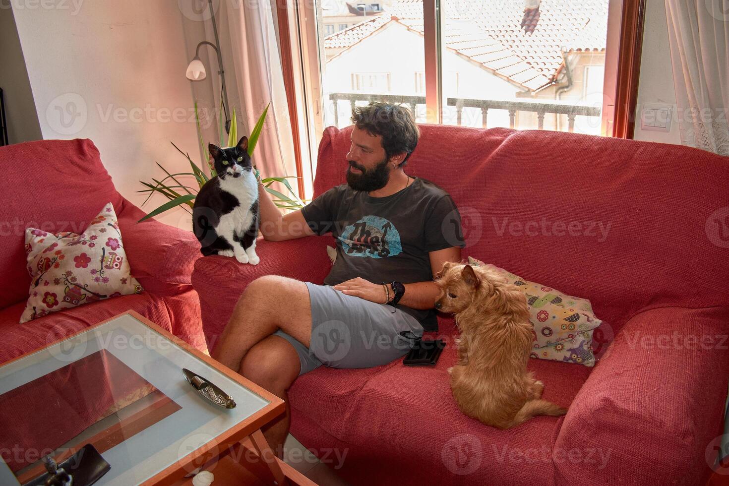 Bearded young man accompanied by his black cat with a white chest and a small ginger dog posing together in a home setting photo
