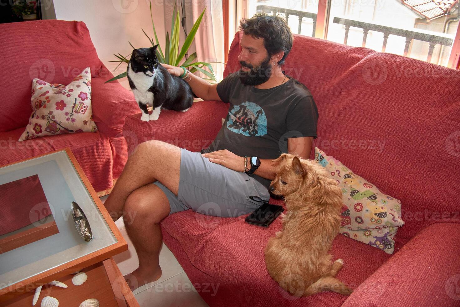 Harmony and affection reflected in the coexistence of a young man with a beard and a small ginger dog and a bicolor black cat photo