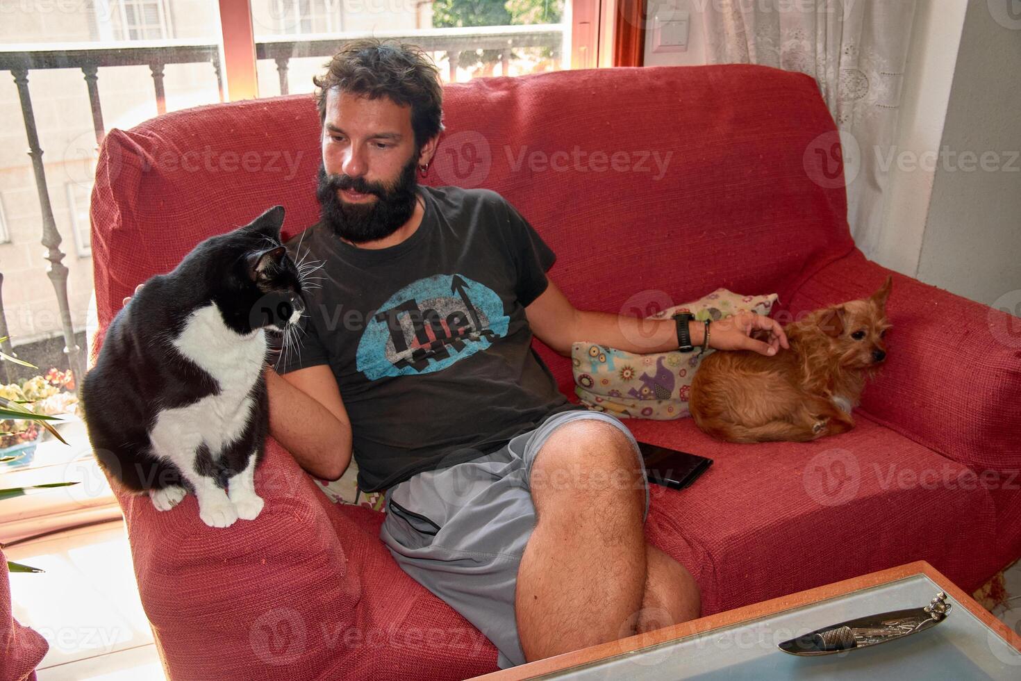 Special bond between a young adult with a beard, his black cat with a white chest, and his faithful ginger dog photo