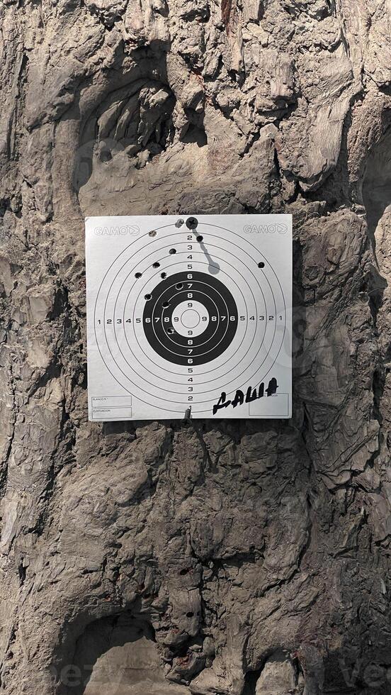 Shooting target on tree trunk with bullet holes. Outdoor shooting range with paper target for airgun practice. Rustic texture background. Close-up view for sport and accuracy themes. photo