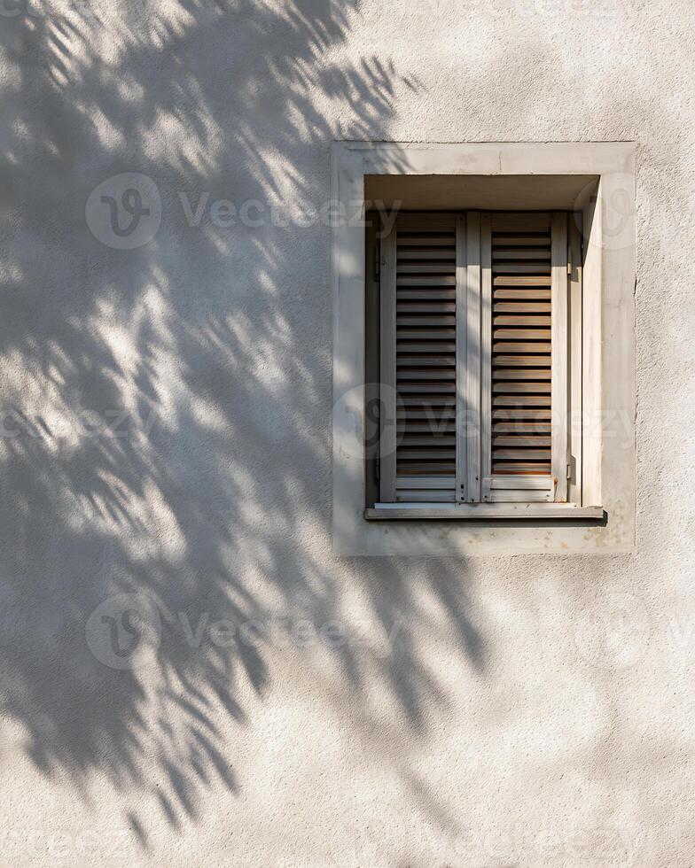 Simple White Wall with Shaded Tree Shadow and Closed Window Shutter photo