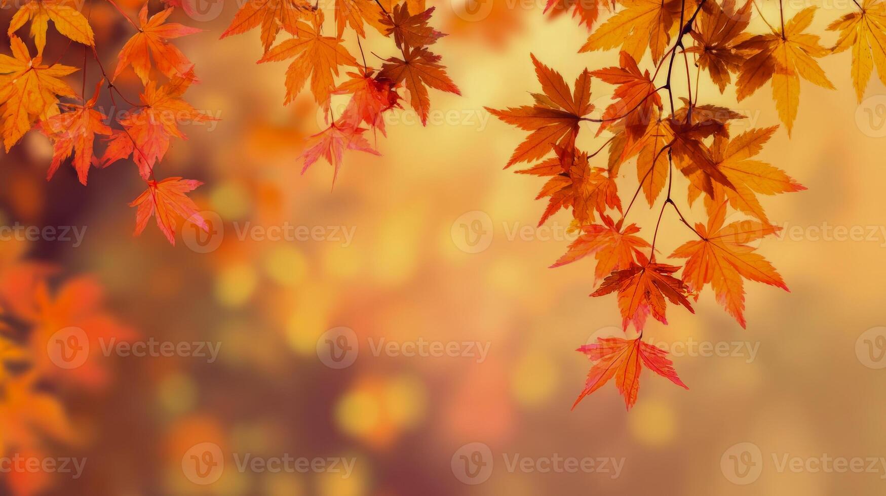 Maple tree branch background with yellow, red and orange leaves on blurred background with particles and bokeh photo