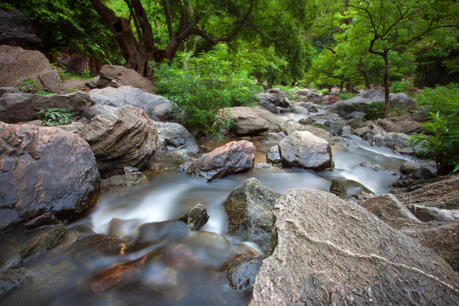 A serene stream flows over rocks and small boulders in a lush, green forest, with blurred foliage in the background. photo