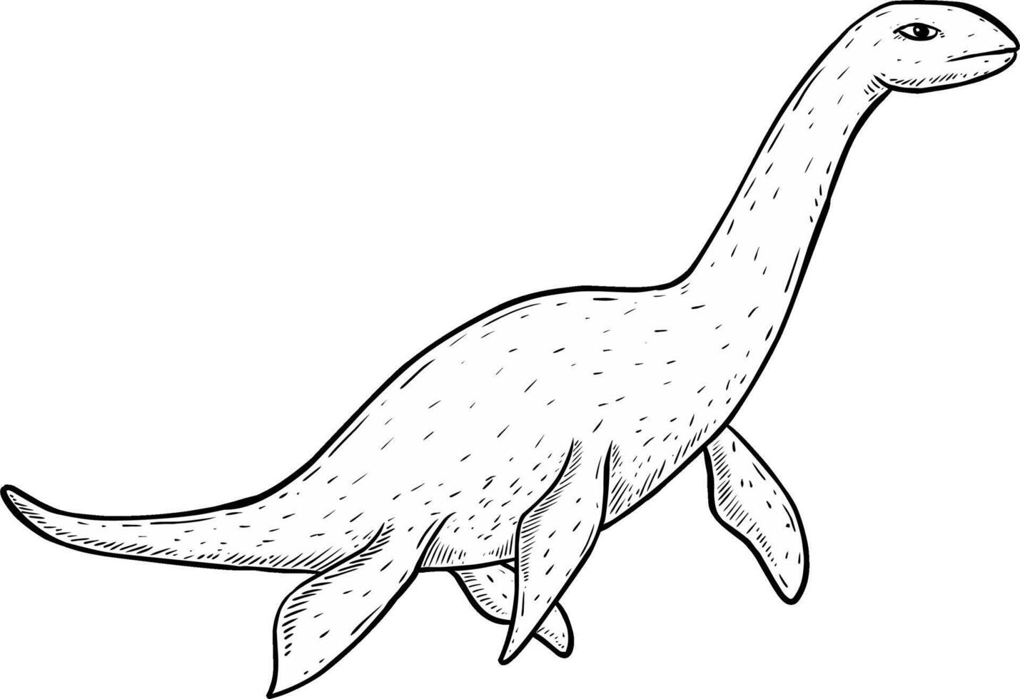 Sketch Cartoon plesiosaurus vector