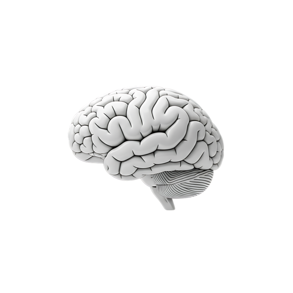 3d icon of a detailed 3d of a human brain, isolated on transparent background, showcasing its intricate structure and complexity png