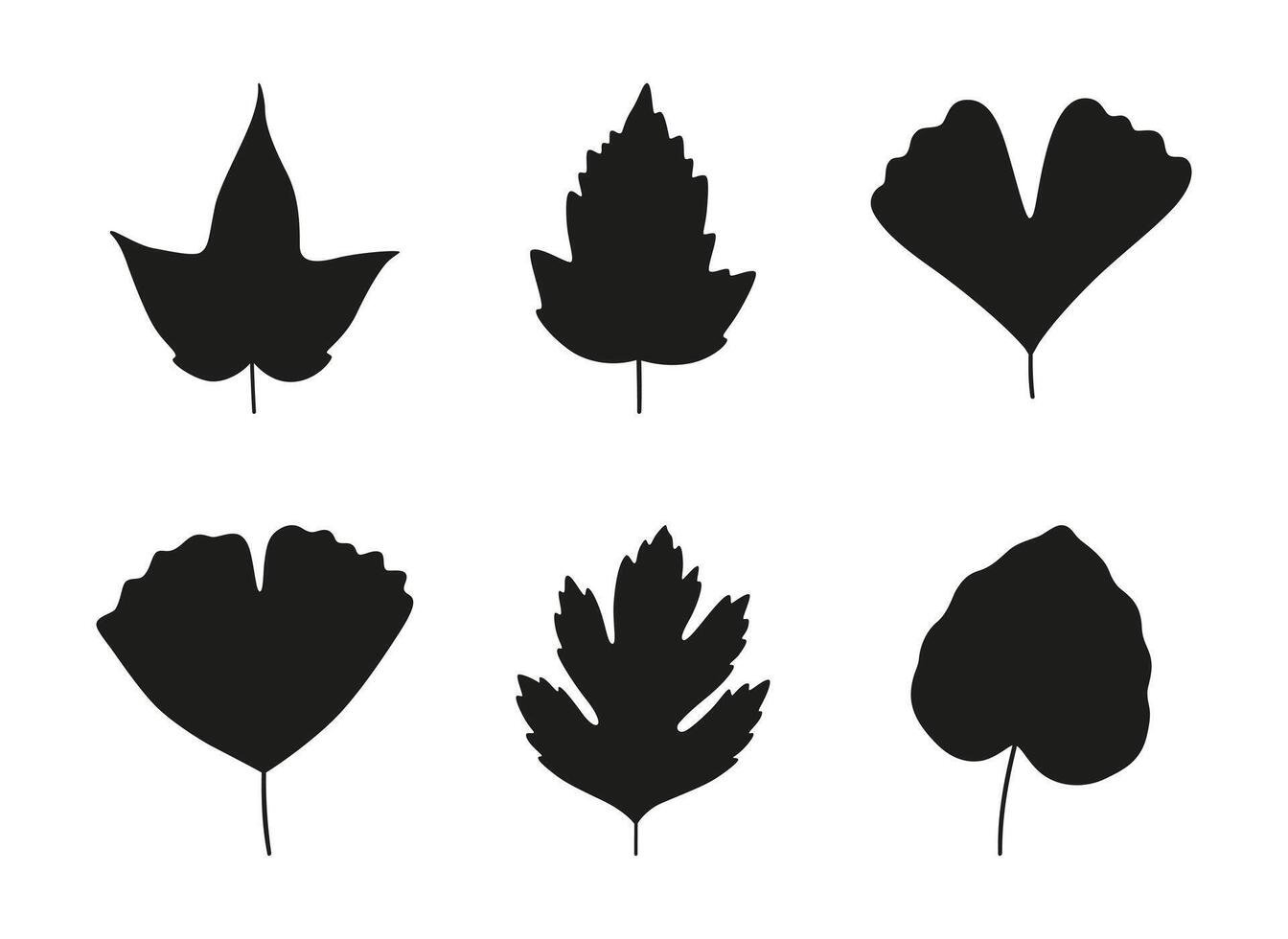 Set of leaves silhouettes - maple, ginkgo, aspen, and hawthorn. vector