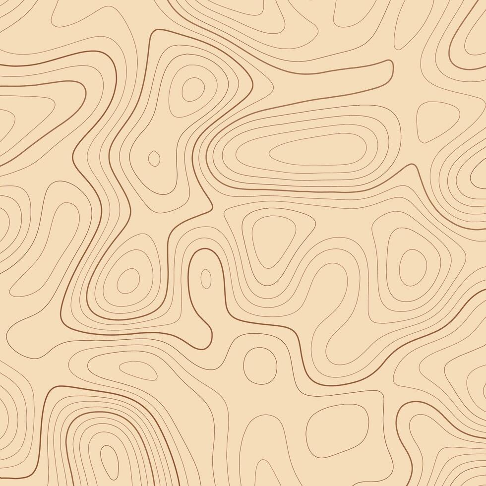 Abstract background with a simple topography relief map design vector