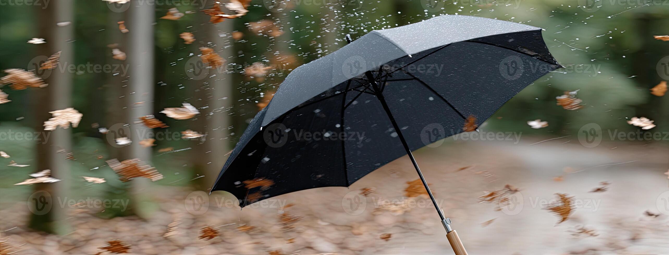 A black umbrella in the air photo