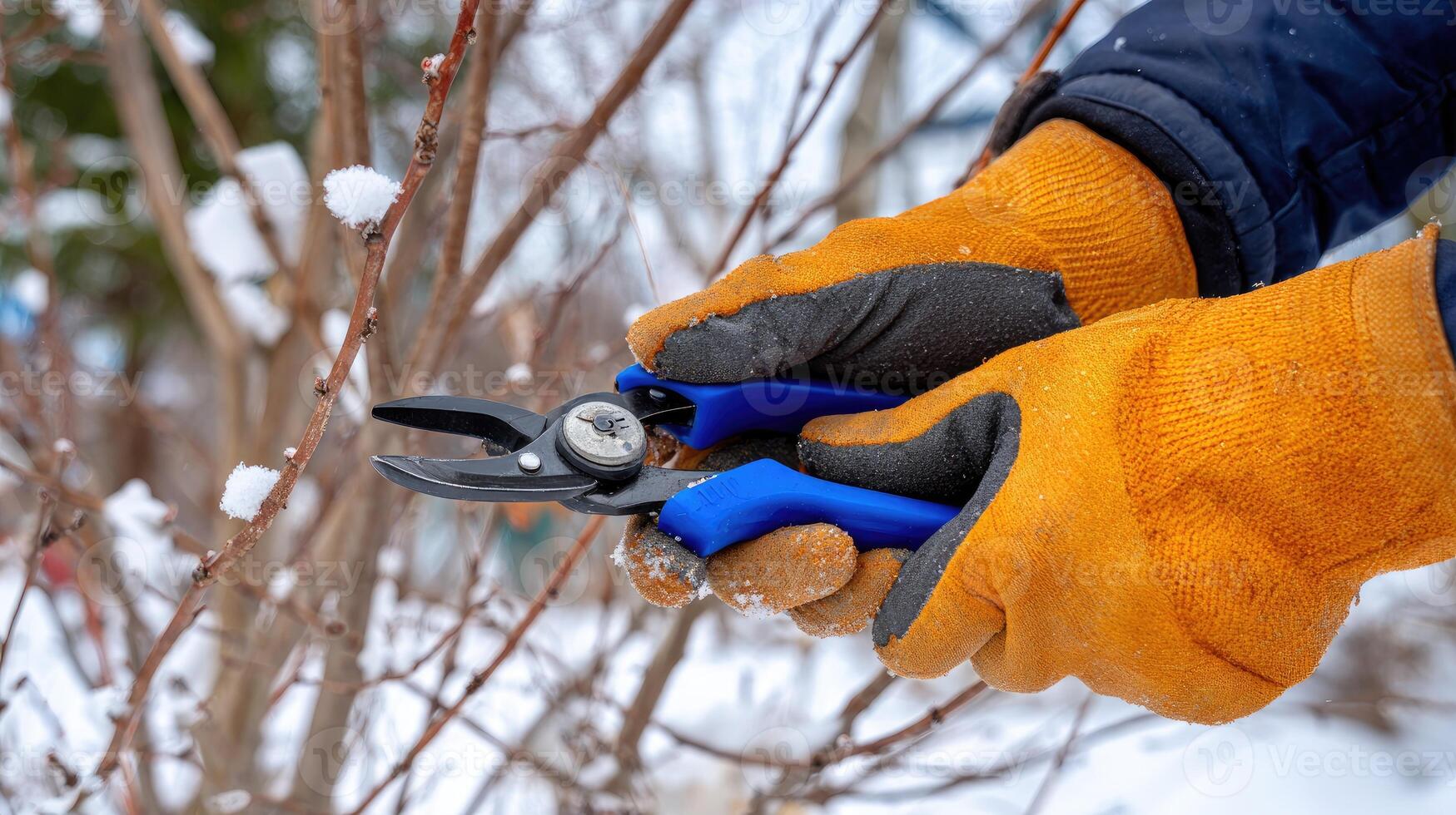 A person in gloves using a pair of scissors to cut a tree photo