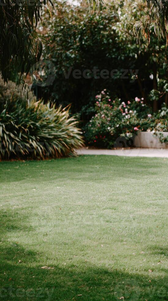 A man is standing in a grassy area with a fire hydrant photo