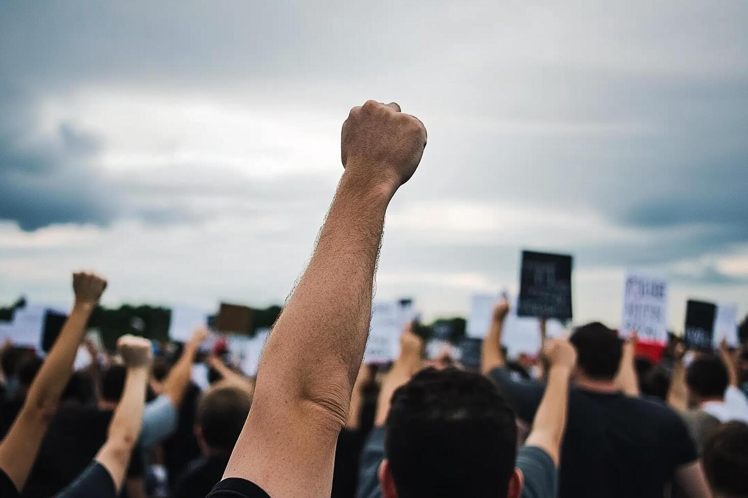 A crowd of people holding signs and fists photo
