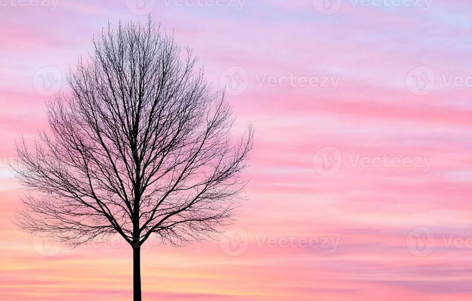 A lone tree stands in front of a pink sky photo