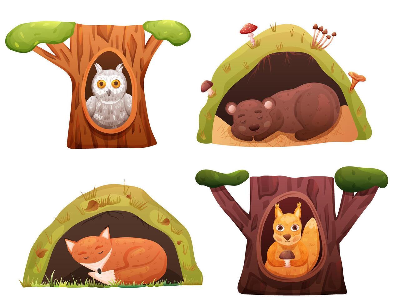 Forest wild animals in den on tree branch and underground. Cute home for winter sleep vector