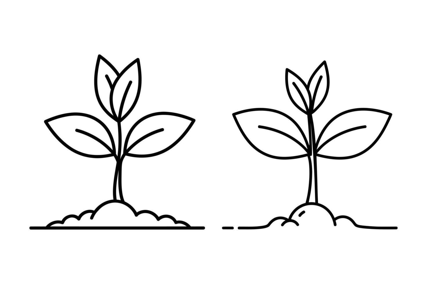 Two simple line art drawings of young plant sprouts growing from soil isolated on white background vector
