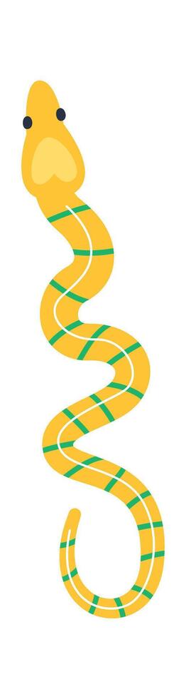 Striped Snake Reptile Illustration vector