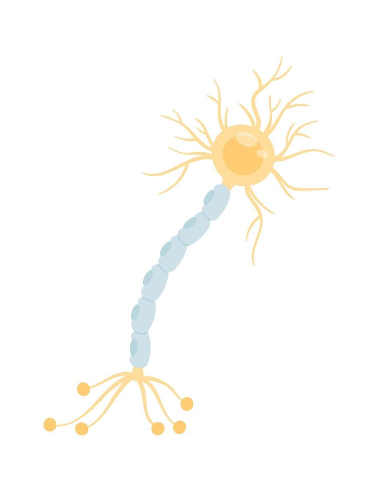 Peripheral Neuropathy Nerve Damage vector