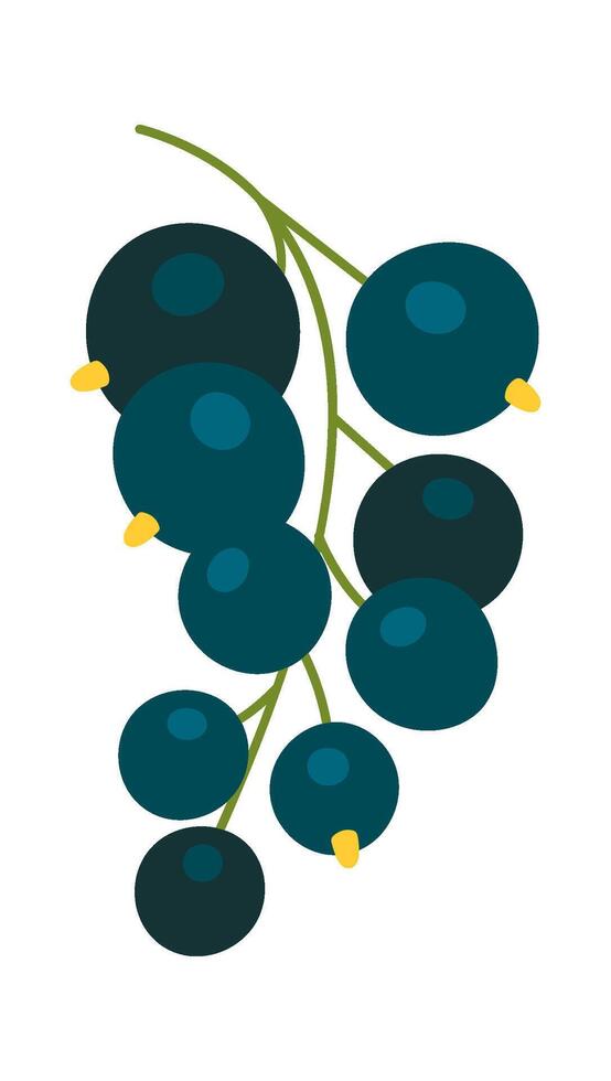 Currant Berry Branch vector
