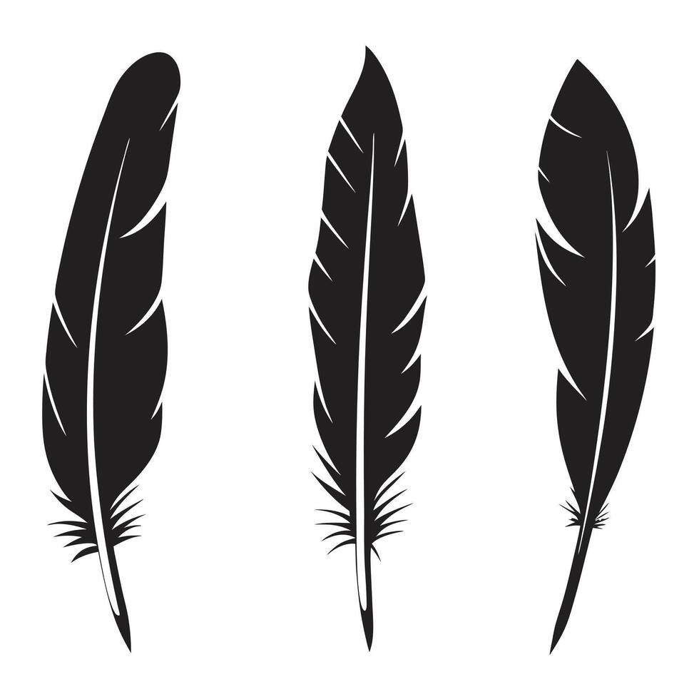 Three silhouetted feathers on a white background vector