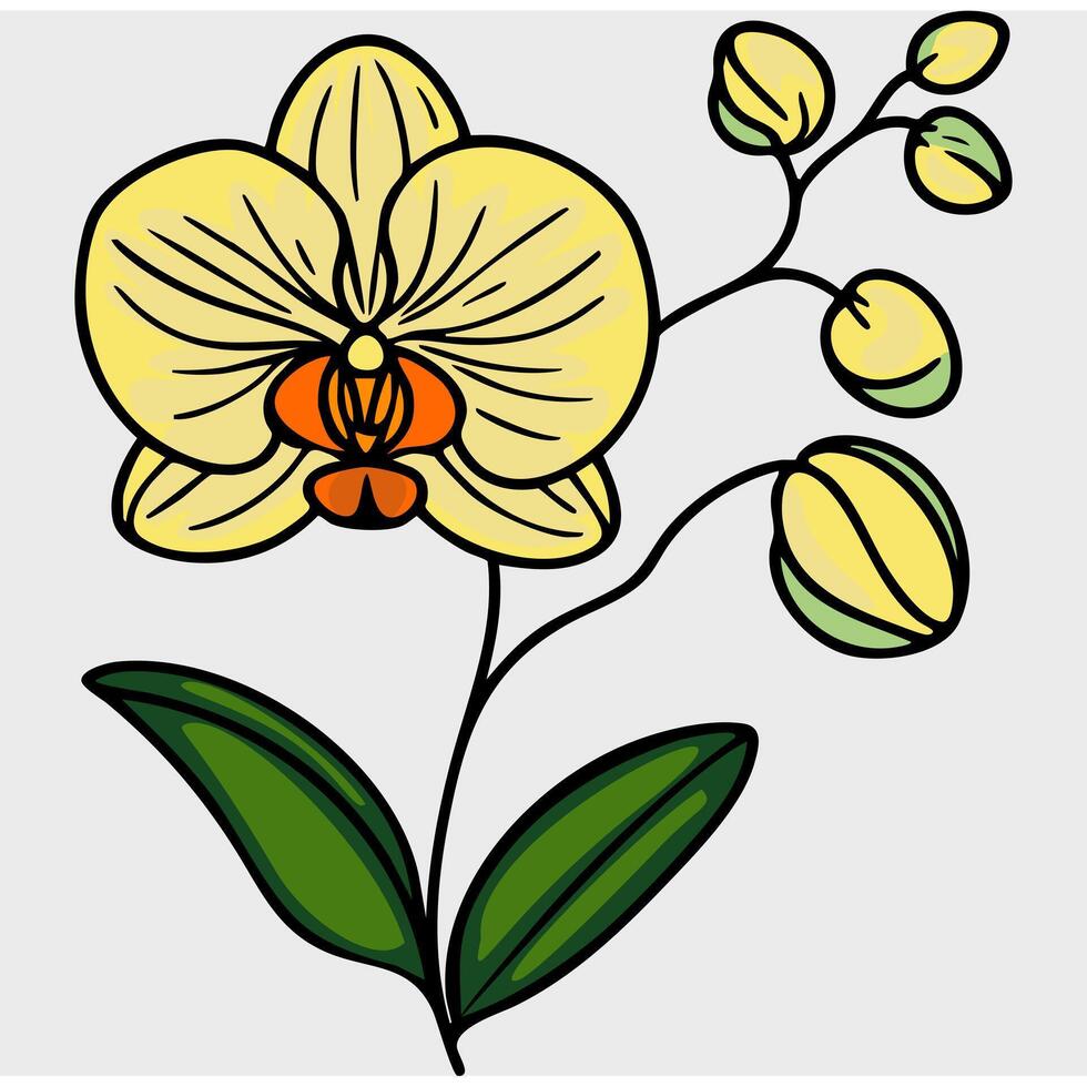 A stylized illustration of a yellow orchid flower with green leaves and buds, featuring bold outlines and a simple design. vector
