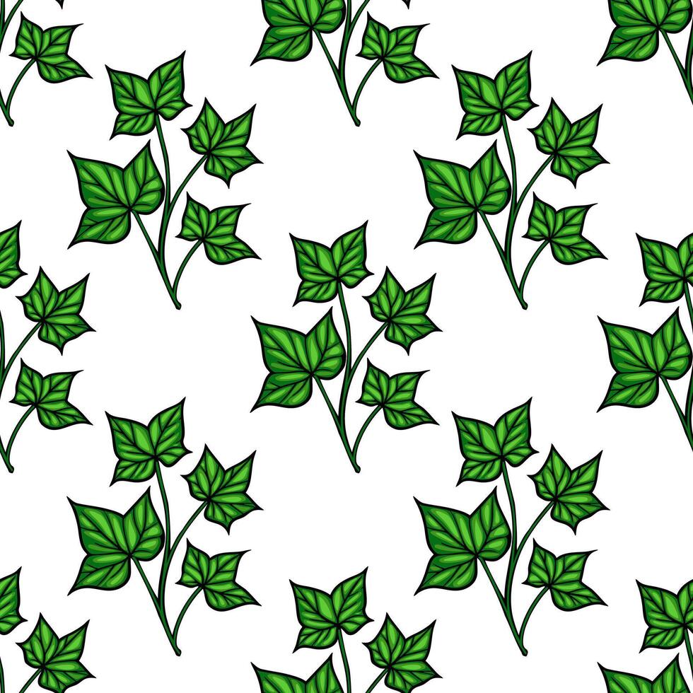 A seamless pattern featuring green ivy leaves on a white background. The leaves are illustrated with detailed veins and varying shapes, creating a vibrant and natural look. vector