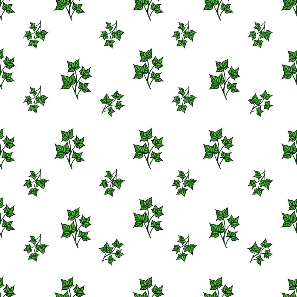 A seamless pattern featuring green ivy leaves on a white background. The leaves are detailed and arranged in a repetitive design, creating a fresh and natural look. vector