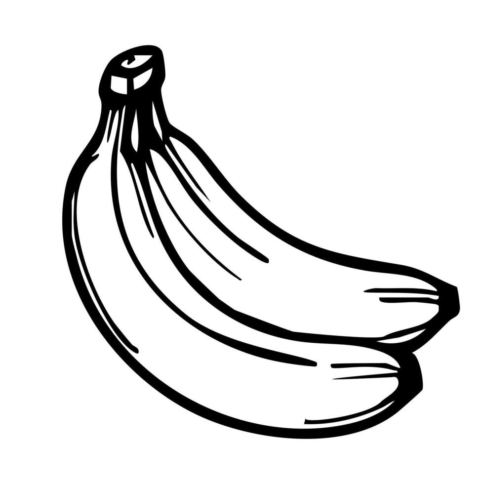 Black and white illustration of two bananas with a simple outline. vector