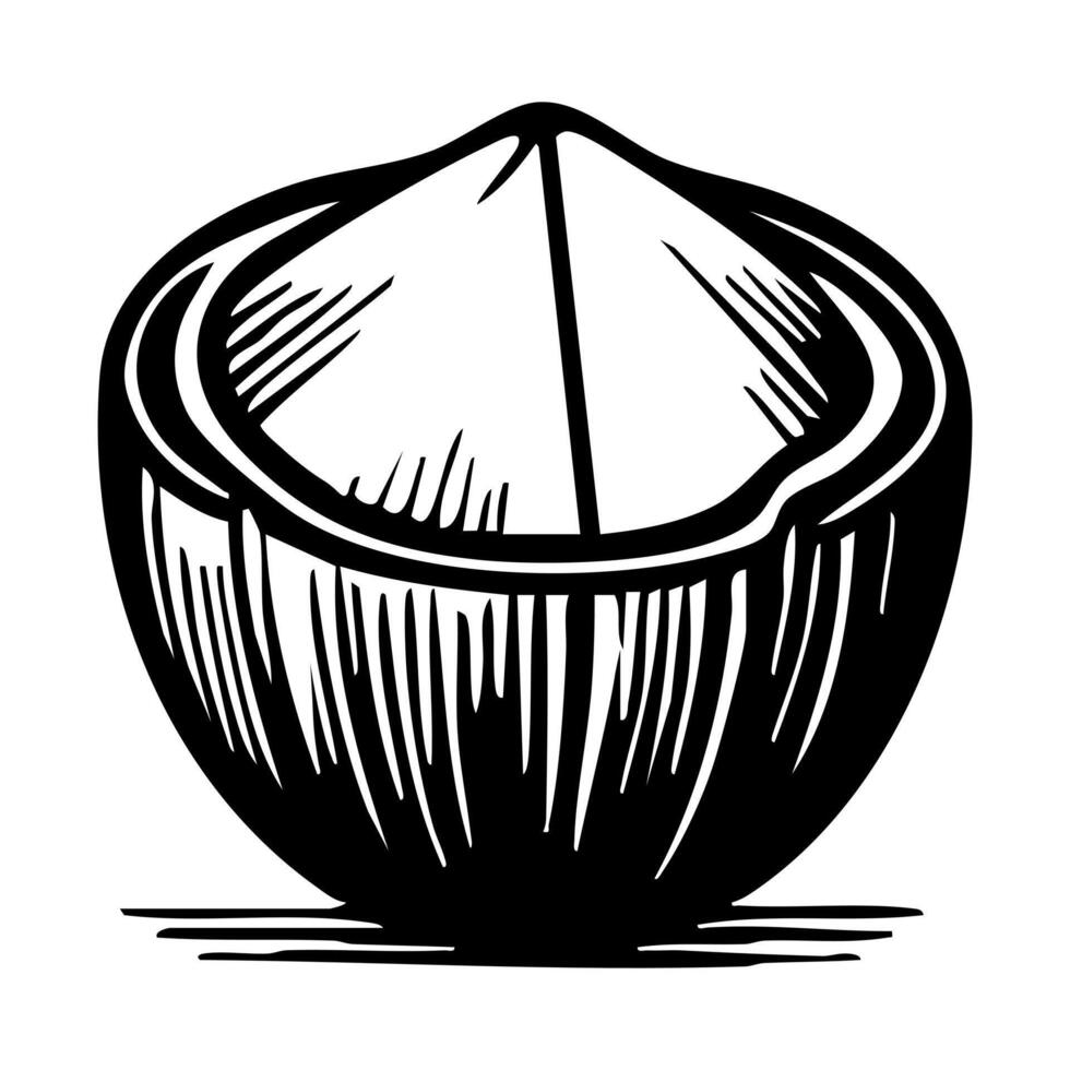 A stylized illustration of a coconut, showing its outer shell with a smooth surface and a pointed top. The design features bold lines and shading, emphasizing the texture of the coconut. vector