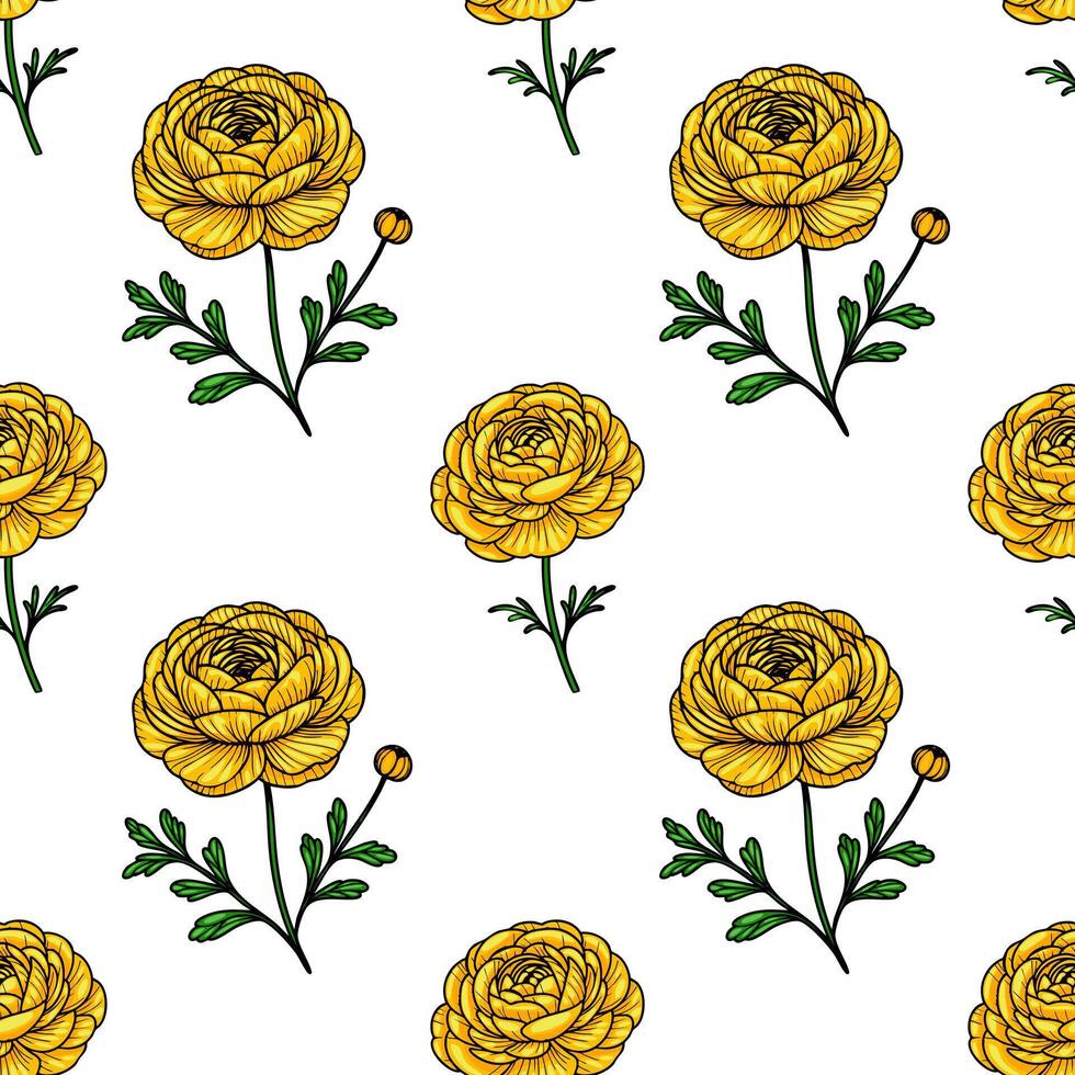 A seamless pattern featuring yellow ranunculus flowers with green leaves on a white background. vector