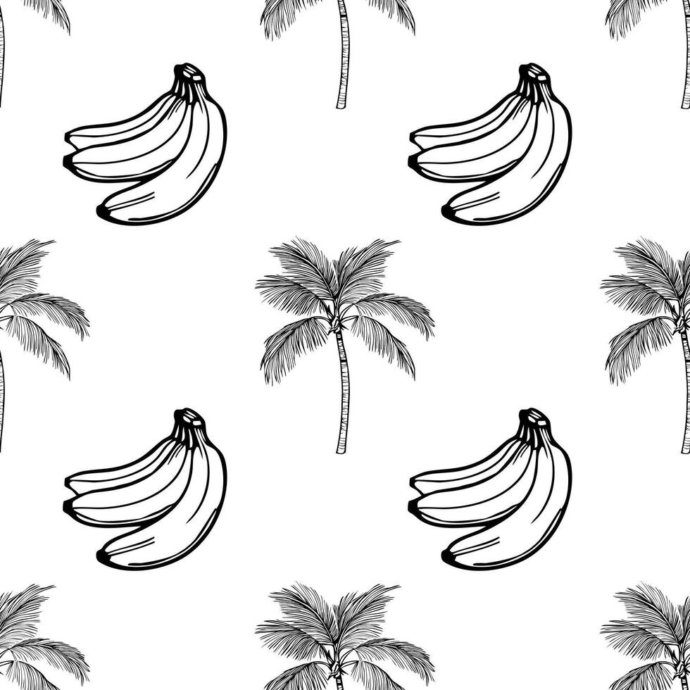 A seamless pattern featuring hand-drawn bananas and palm trees on a white background. The design is simple and tropical, perfect for summer-themed projects. vector