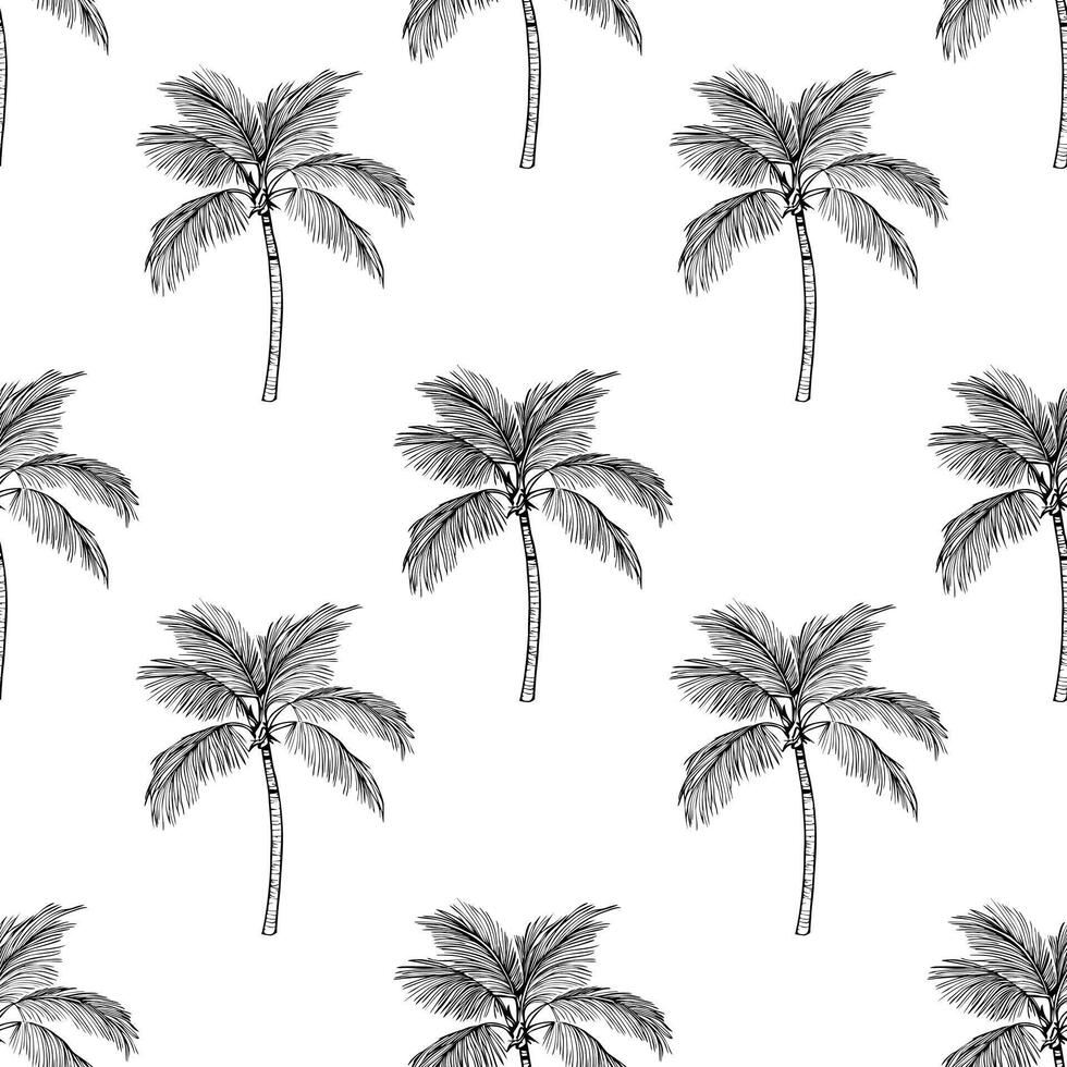 A seamless pattern featuring hand-drawn palm trees on a white background. The palm trees are intricately detailed with long, slender trunks and lush fronds, creating a tropical vibe. vector