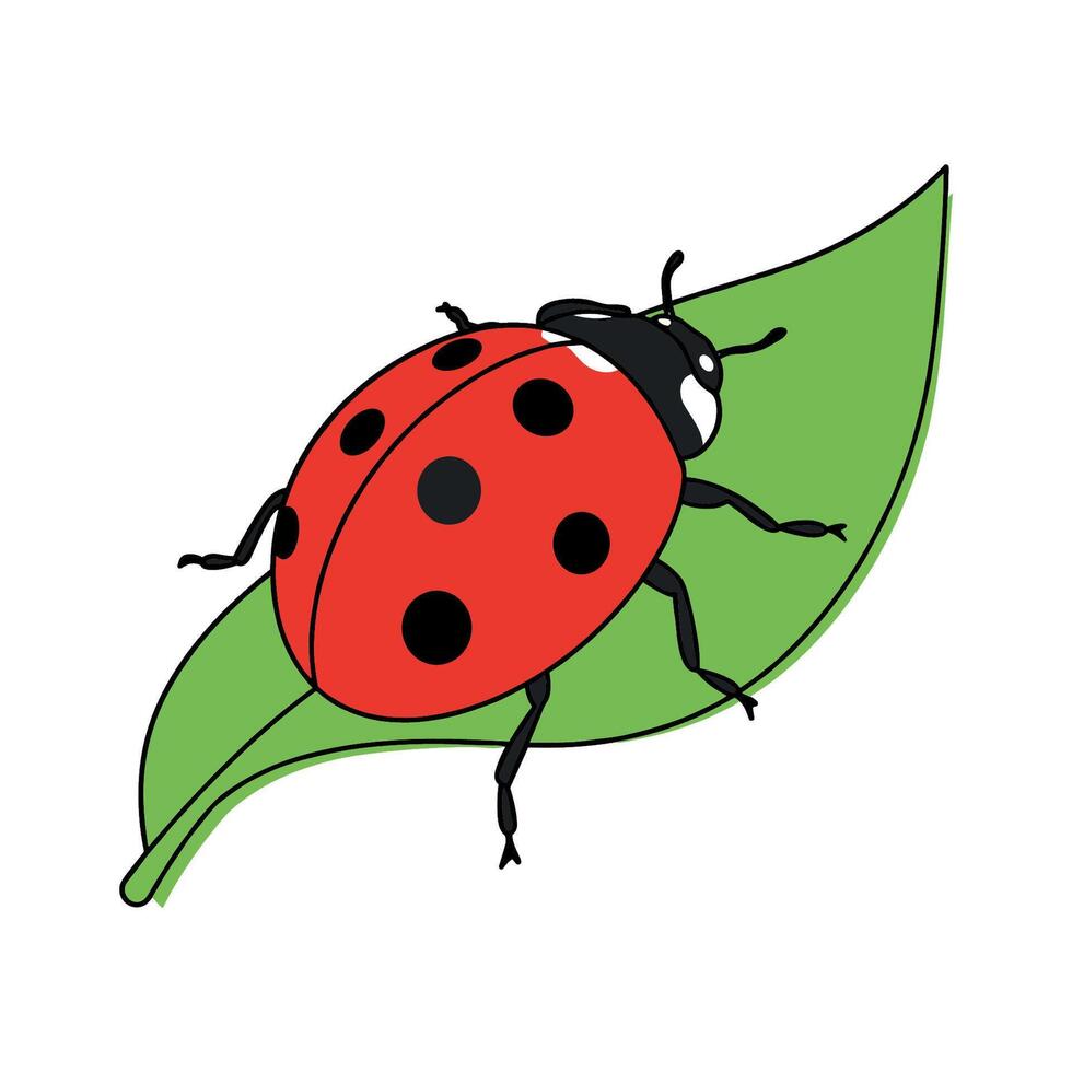 Vibrant ladybug on leaf with red shell and black spots. vector