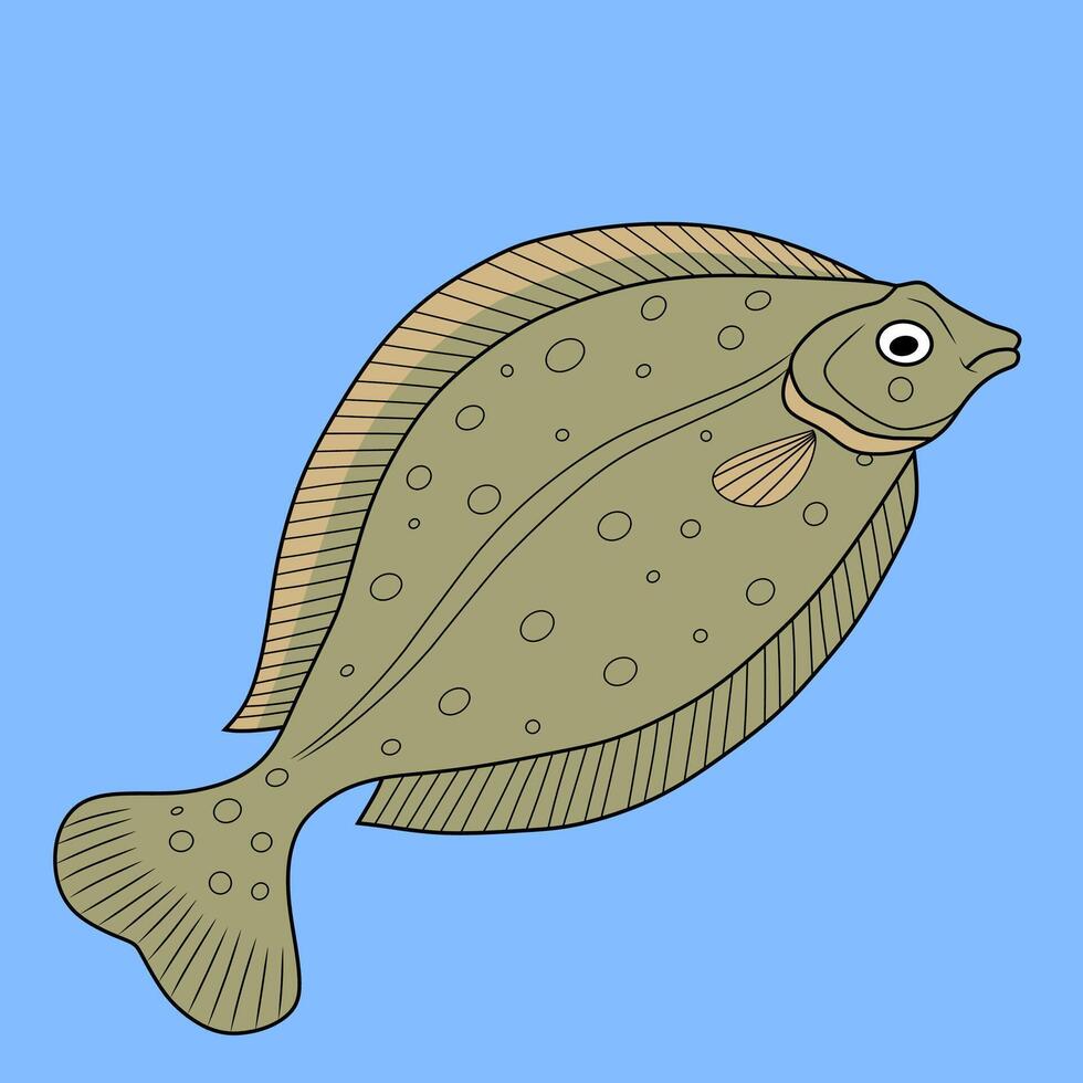 Flounder Fish Color Illustration vector