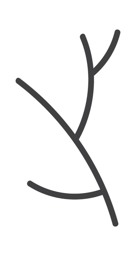 Floral Branch Linear vector