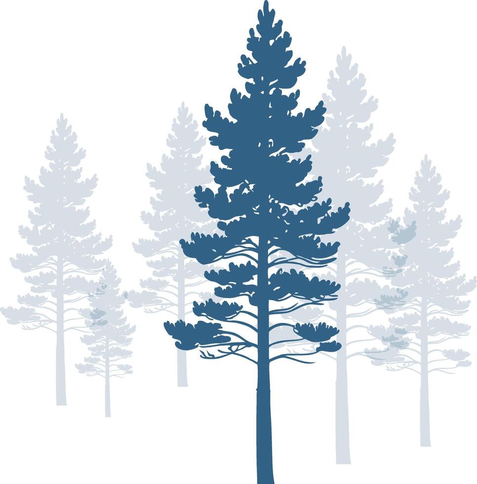 A striking dark blue pine tree stands prominently in the foreground against a backdrop of lighter faded pine trees all isolated on a white background. vector