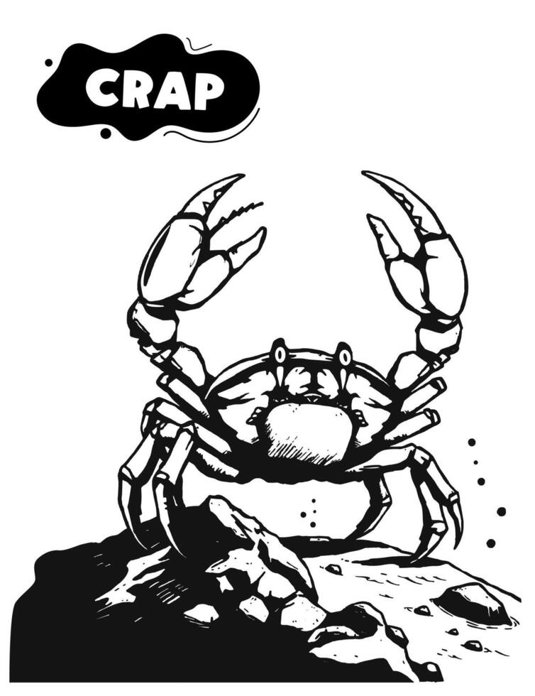 144 big crab illustration model for coloring vector