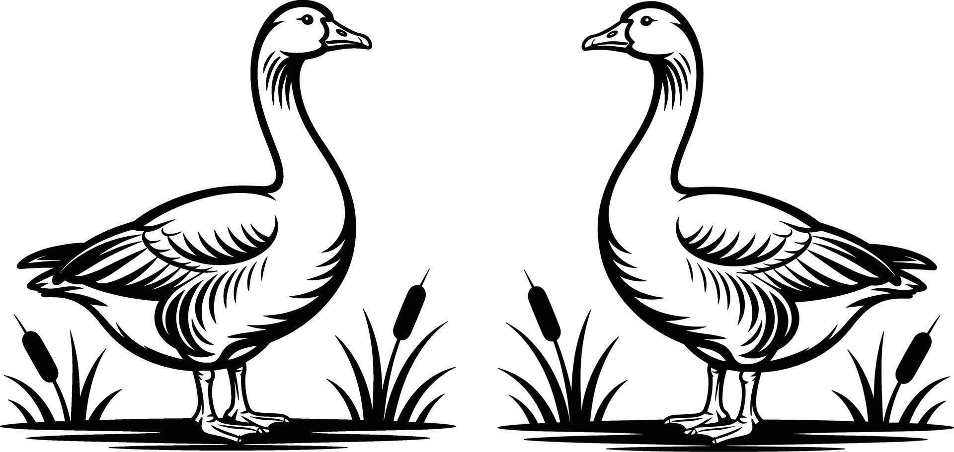 Two Black and White Geese Facing Each Other with Cattails and Grass vector