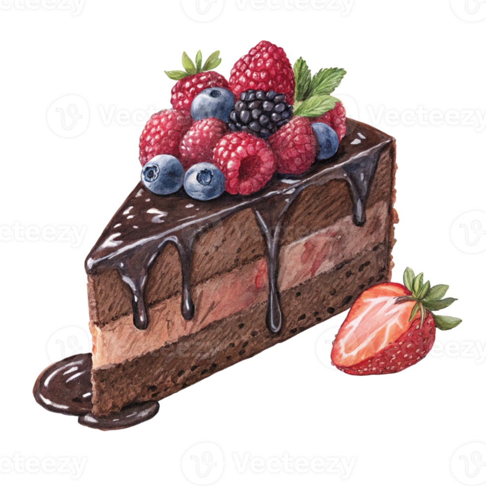 A slice of chocolate cake with berries and chocolate png