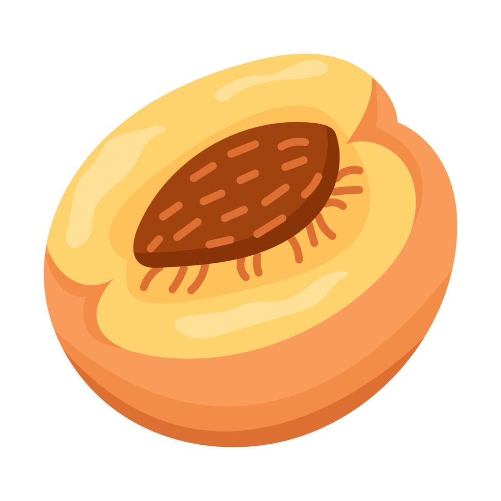 This is an artistic illustration showcasing a beautifully sliced peach, complete with its seed vector