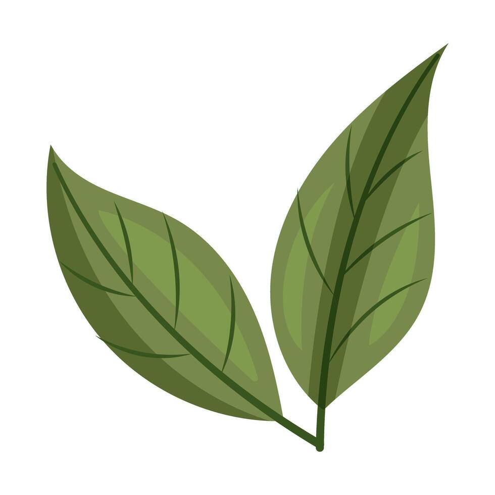 An Illustration of Green Leaves for Themes Related to Nature and Wellness Concepts vector