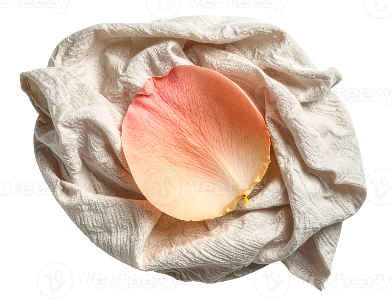 Soft peach pink flower petal resting on textured white towel representing freshness and beauty on isolated background png