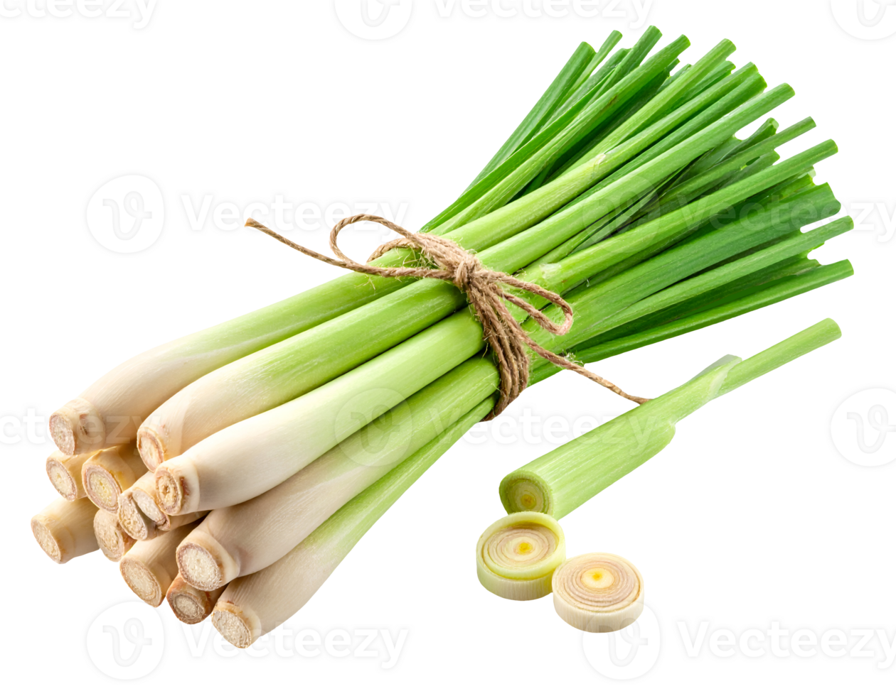 Fresh lemongrass bundle tied with twine and cut slices on isolated white background png