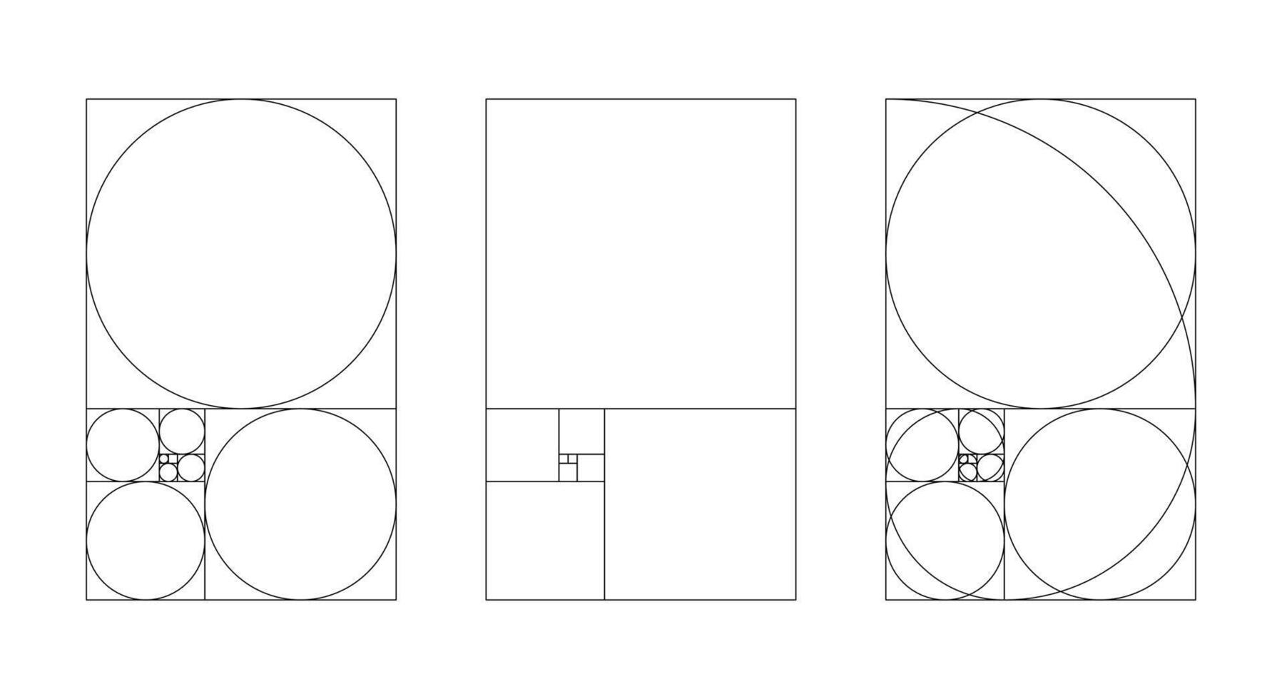 Golden ratio harmony proportions vertical template. Fibonacci numbers set. Fibonacci arrays. vector