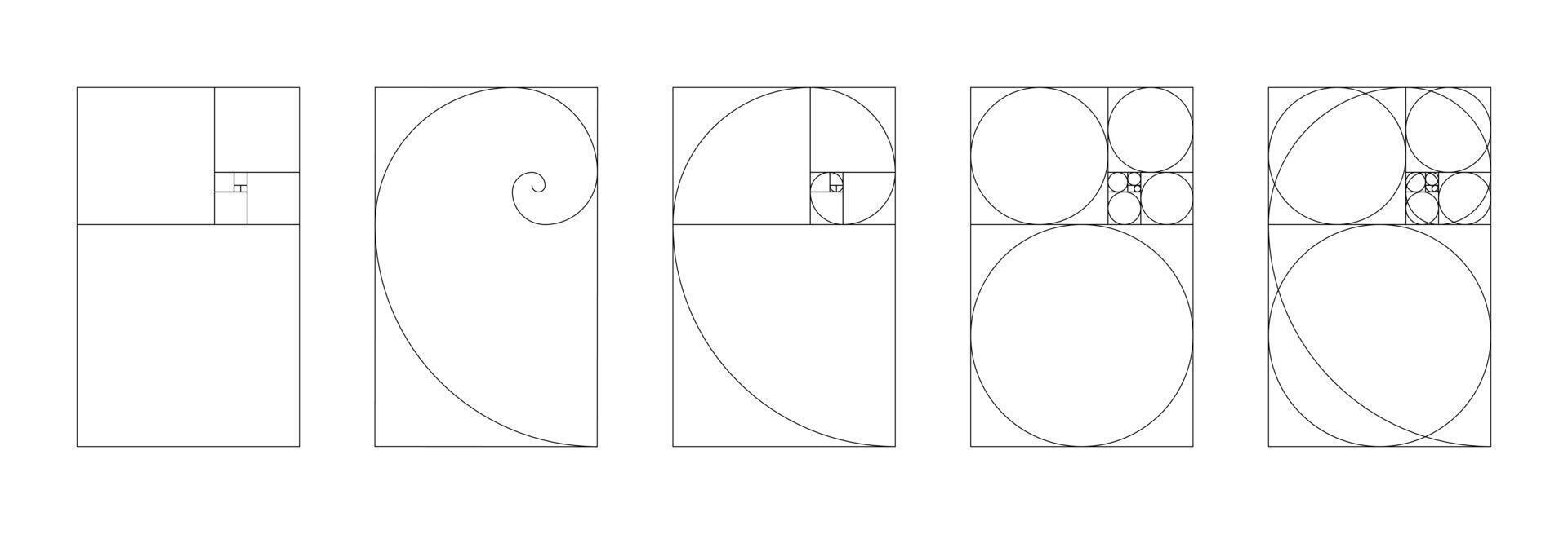 Template of golden ratio harmony proportions. Fibonacci numbers array vertical set. vector