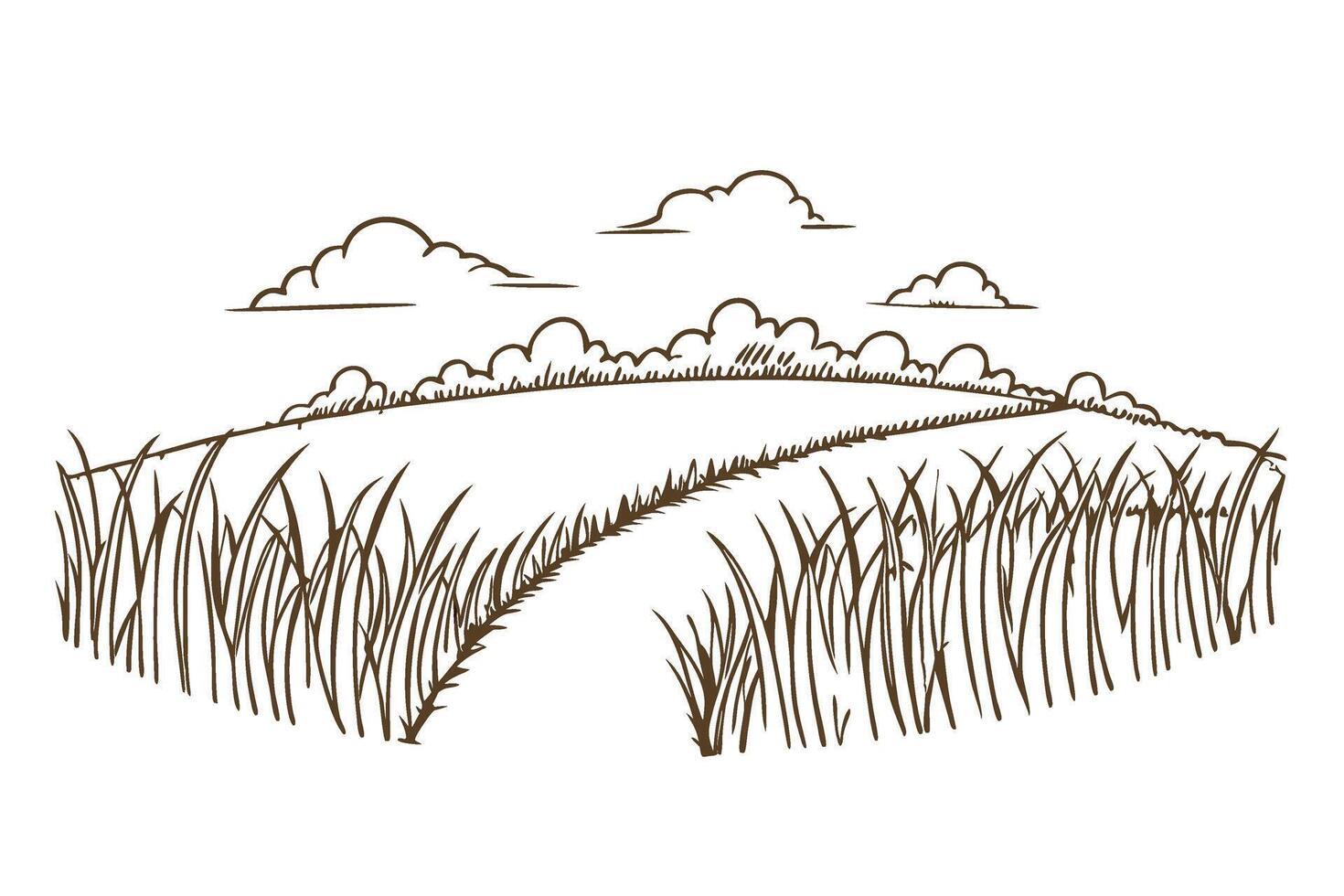 rural country path winding through grassy meadow hand drawn landscape with clouds and tall grass illustration vector
